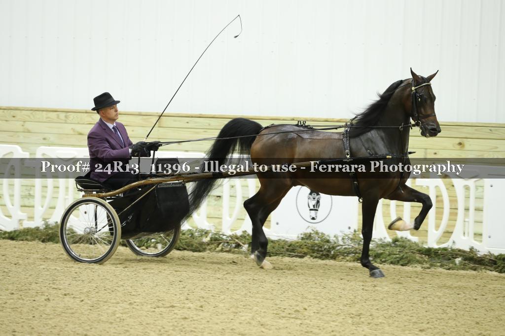 Proof 24R13_11396