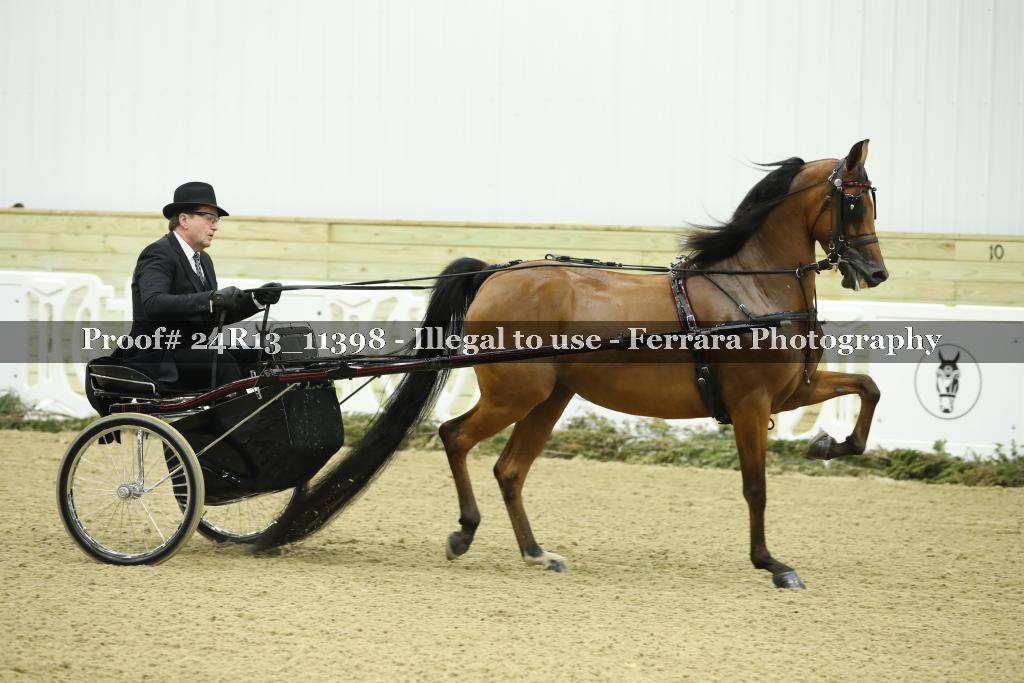 Proof 24R13_11398