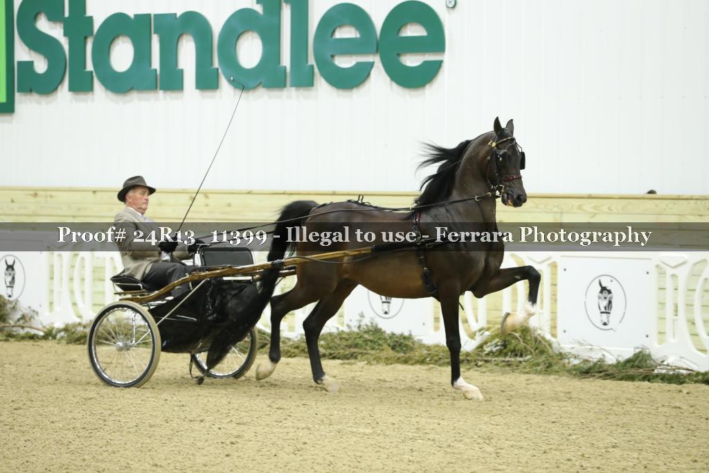 Proof 24R13_11399