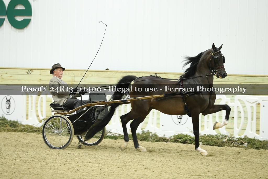 Proof 24R13_11400