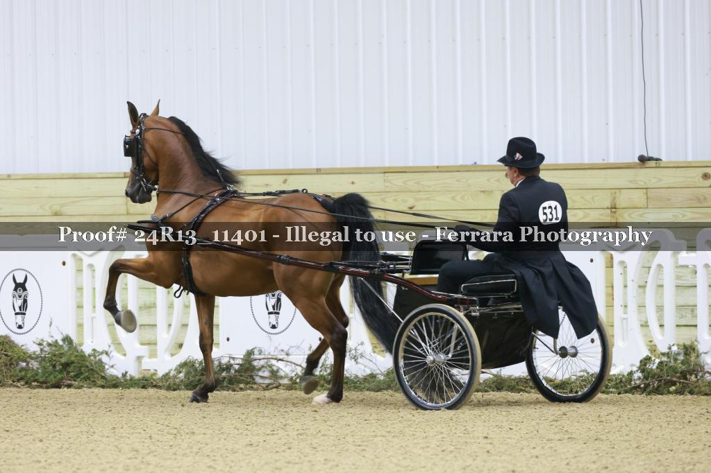 Proof 24R13_11401