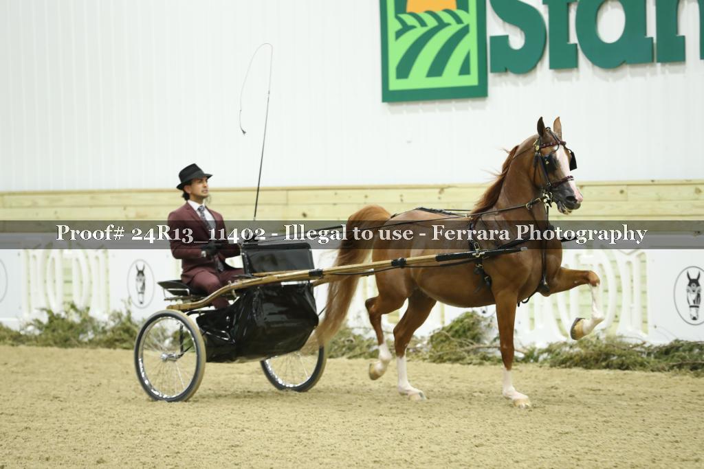 Proof 24R13_11402