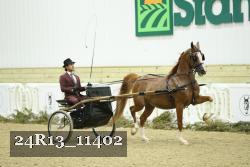 24R13_11402 proof