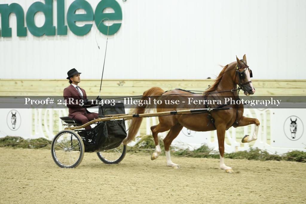 Proof 24R13_11403