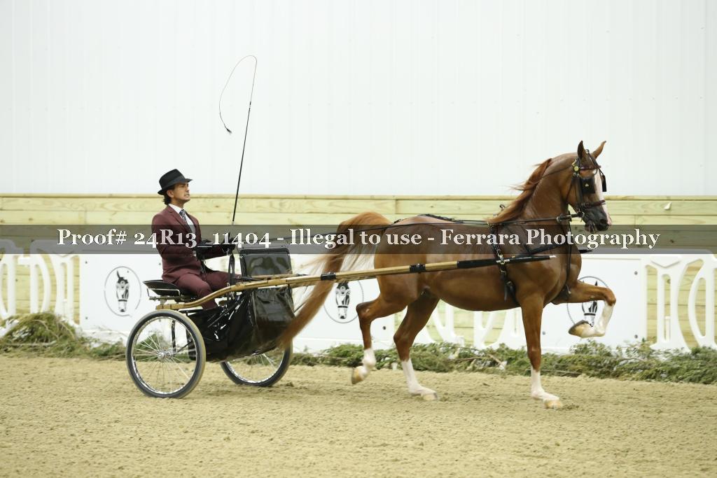 Proof 24R13_11404