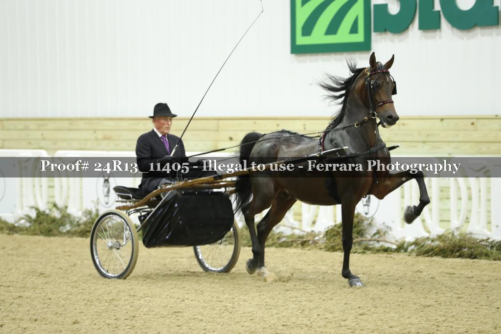 Proof 24R13_11405