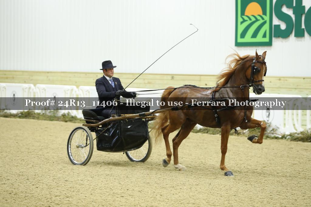 Proof 24R13_11406