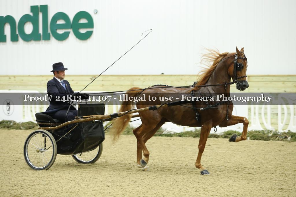 Proof 24R13_11407