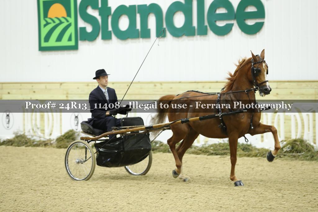 Proof 24R13_11408