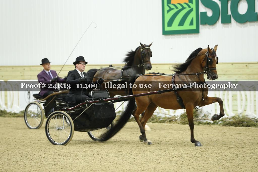 Proof 24R13_11409