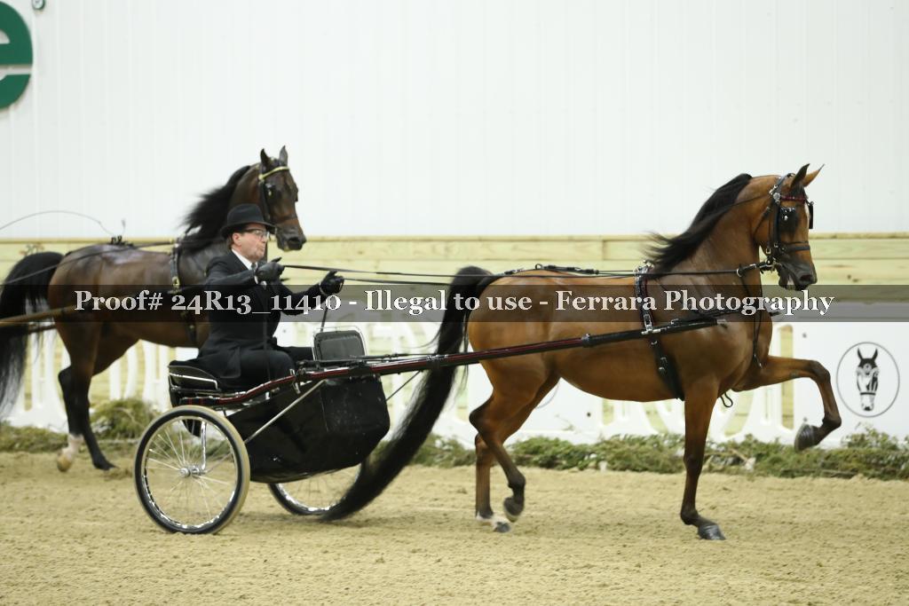 Proof 24R13_11410