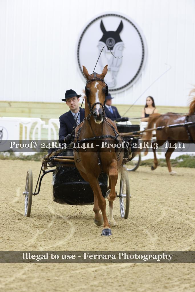 Proof 24R13_11411
