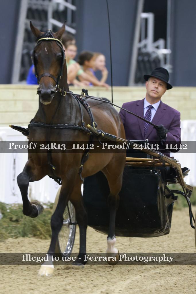 Proof 24R13_11412