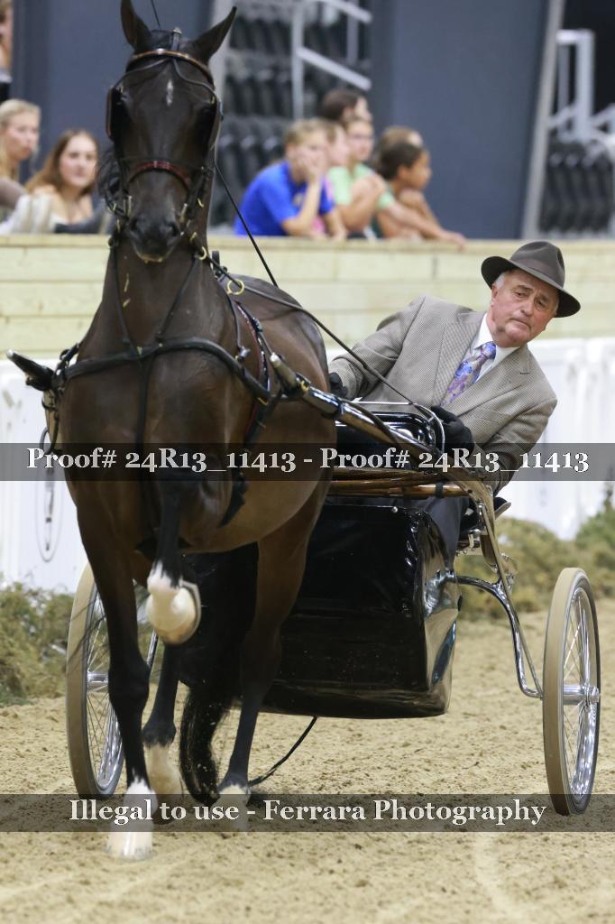 Proof 24R13_11413