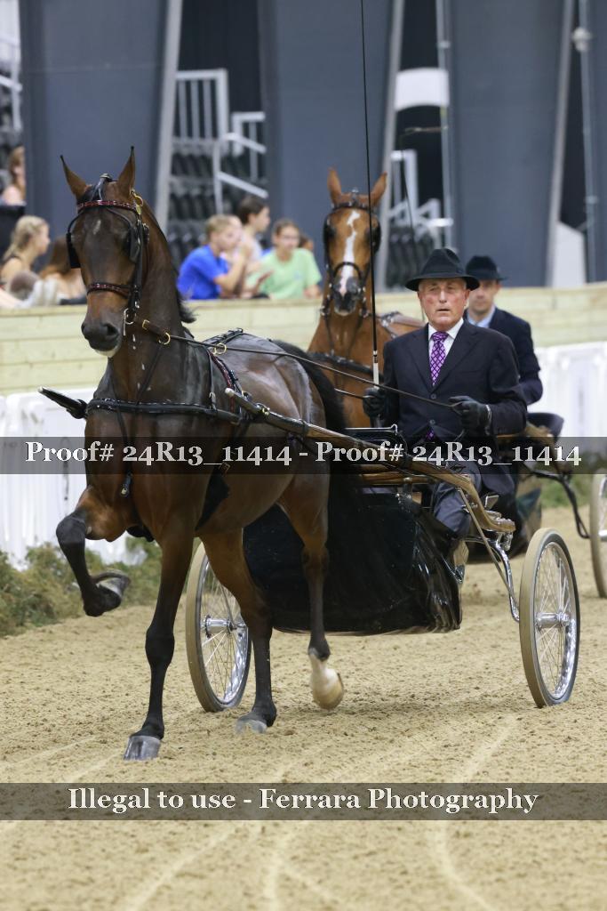 Proof 24R13_11414