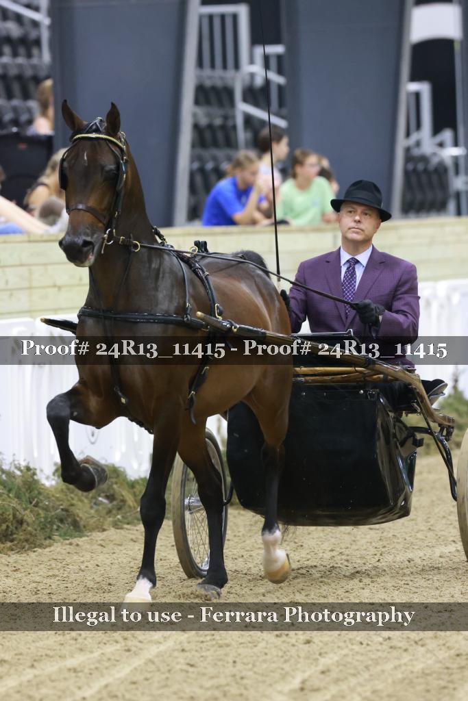 Proof 24R13_11415