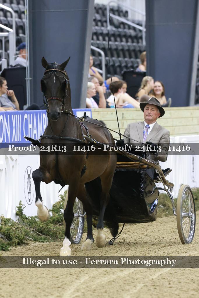 Proof 24R13_11416