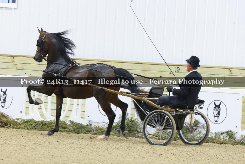 Proof 24R13_11417