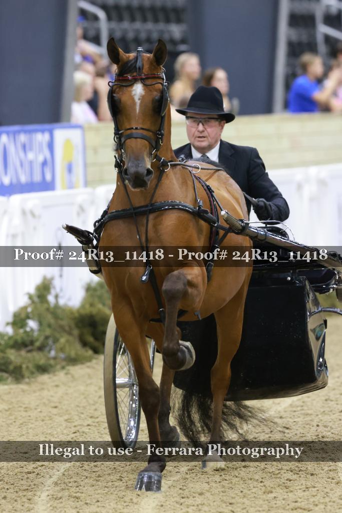Proof 24R13_11418