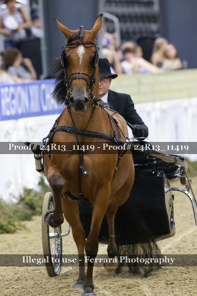 Proof 24R13_11419
