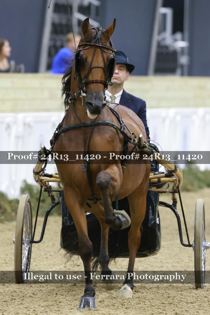 Proof 24R13_11420