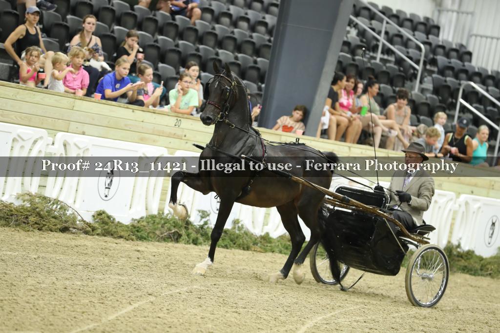 Proof 24R13_11421