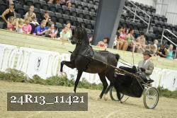 24R13_11421 proof