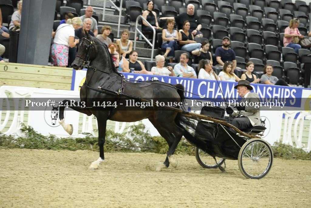 Proof 24R13_11424