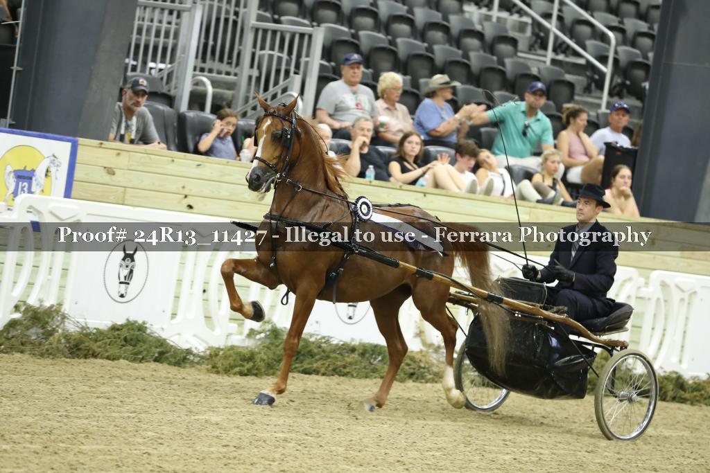 Proof 24R13_11427