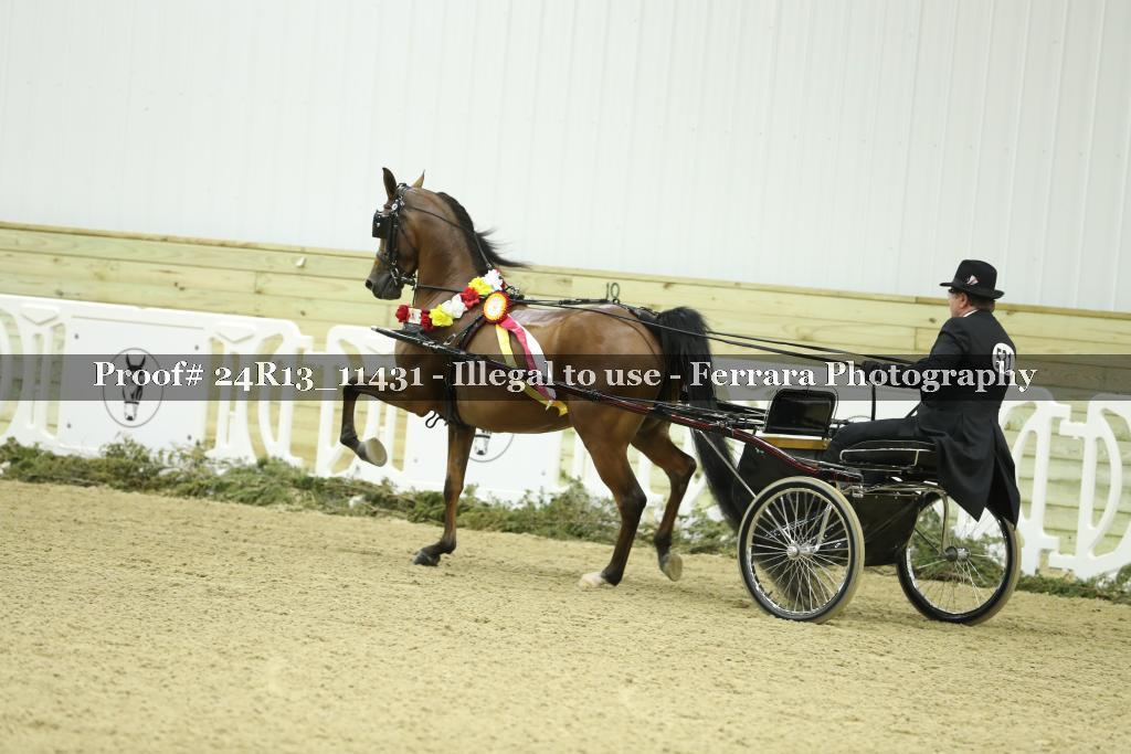Proof 24R13_11431