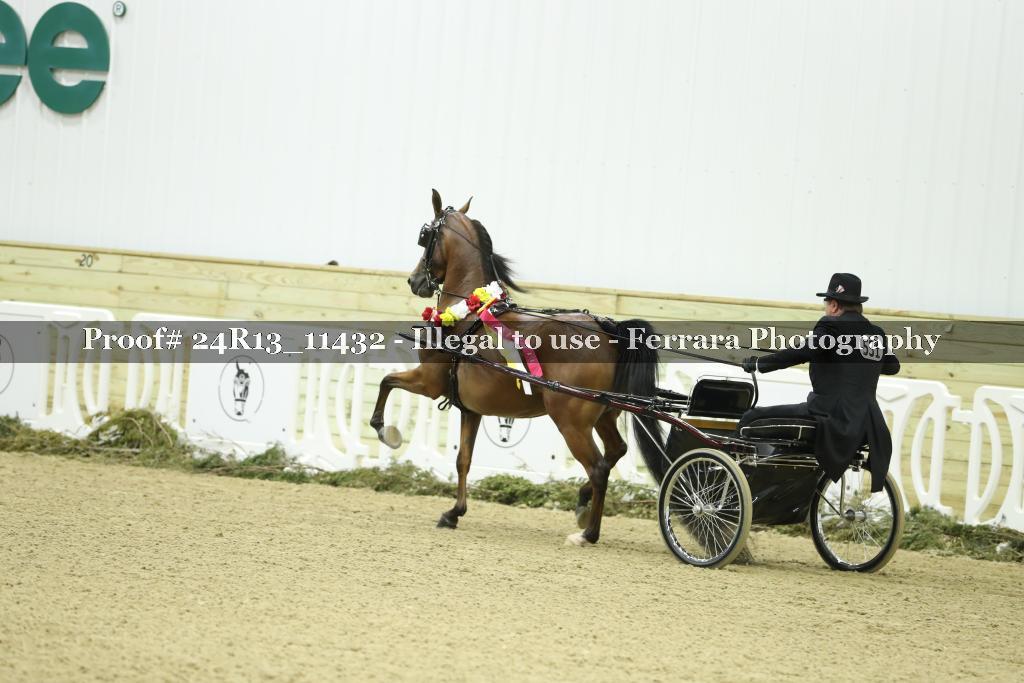 Proof 24R13_11432