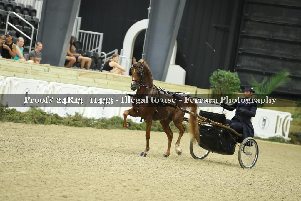 Proof 24R13_11433