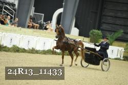 24R13_11433 proof