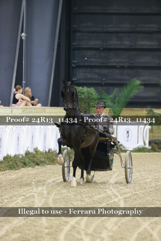 Proof 24R13_11434