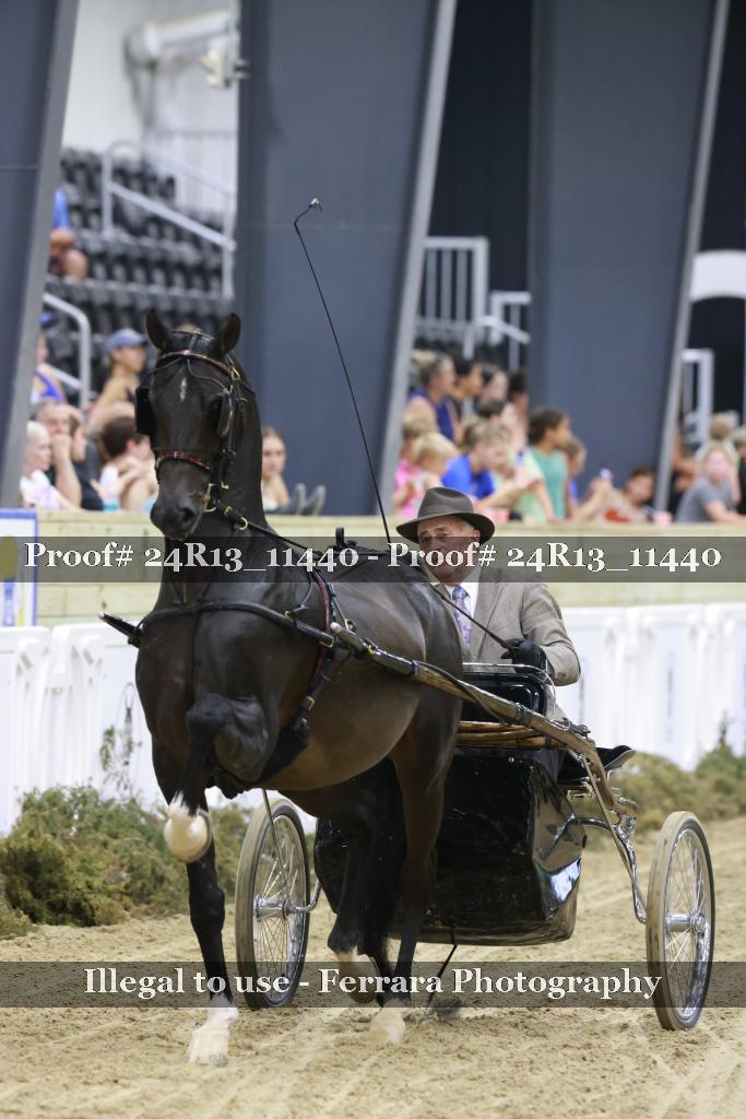 Proof 24R13_11440