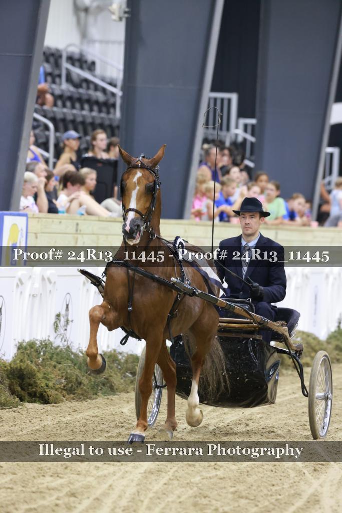 Proof 24R13_11445