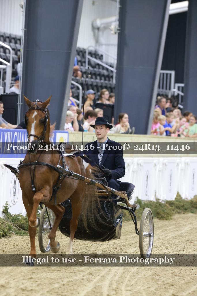 Proof 24R13_11446