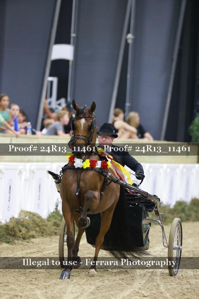 Proof 24R13_11461