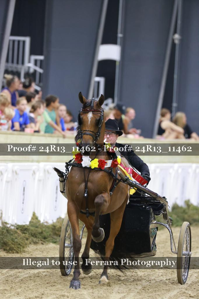 Proof 24R13_11462