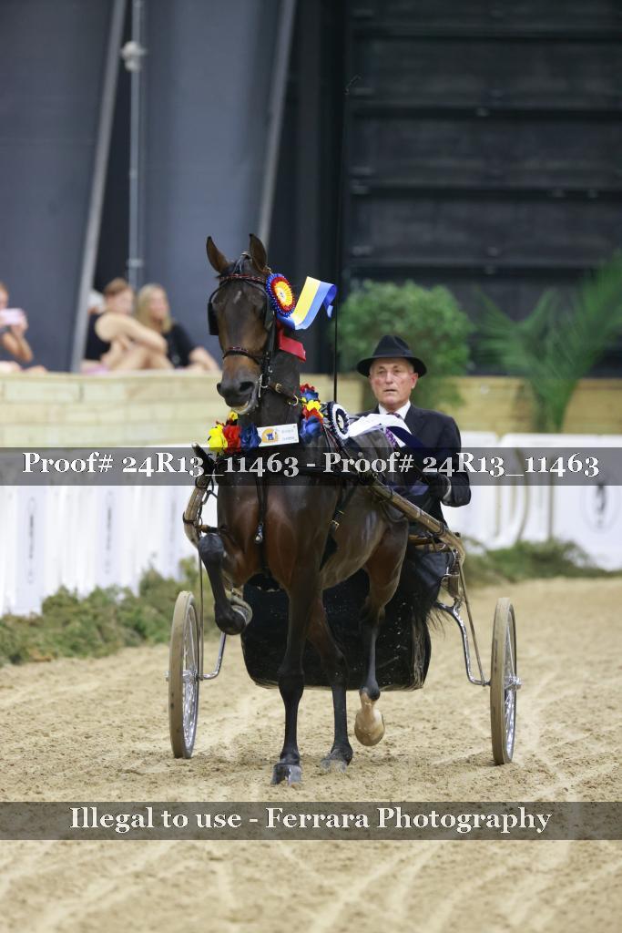 Proof 24R13_11463