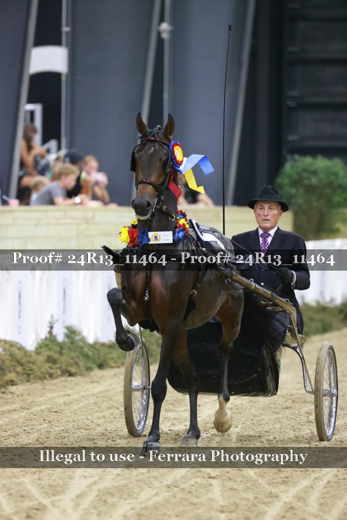 Proof 24R13_11464