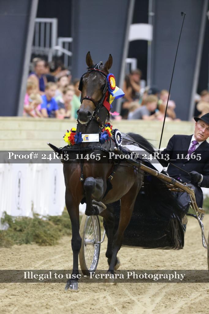 Proof 24R13_11465