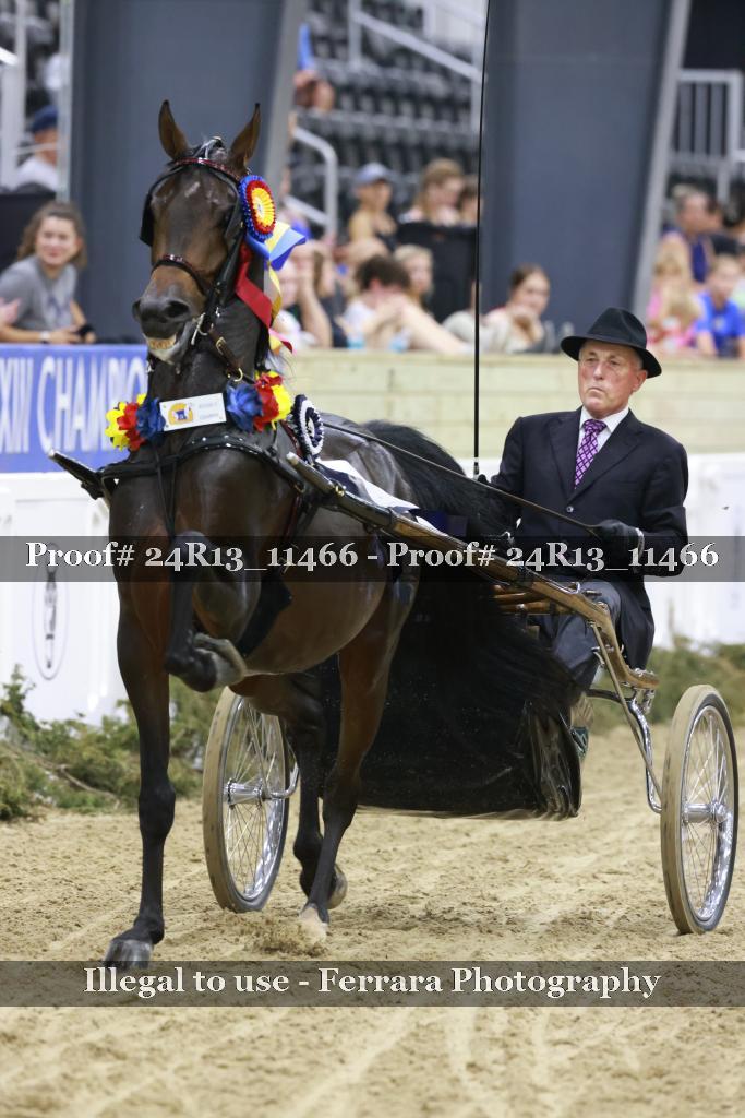 Proof 24R13_11466