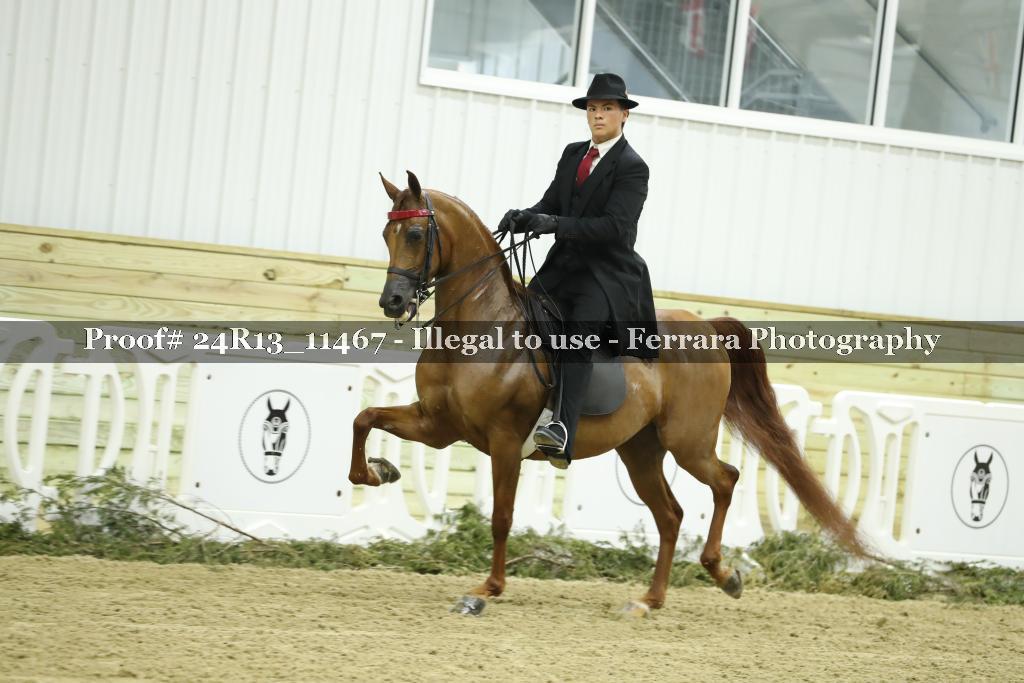 Proof 24R13_11467