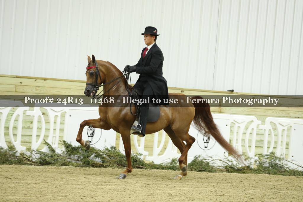 Proof 24R13_11468