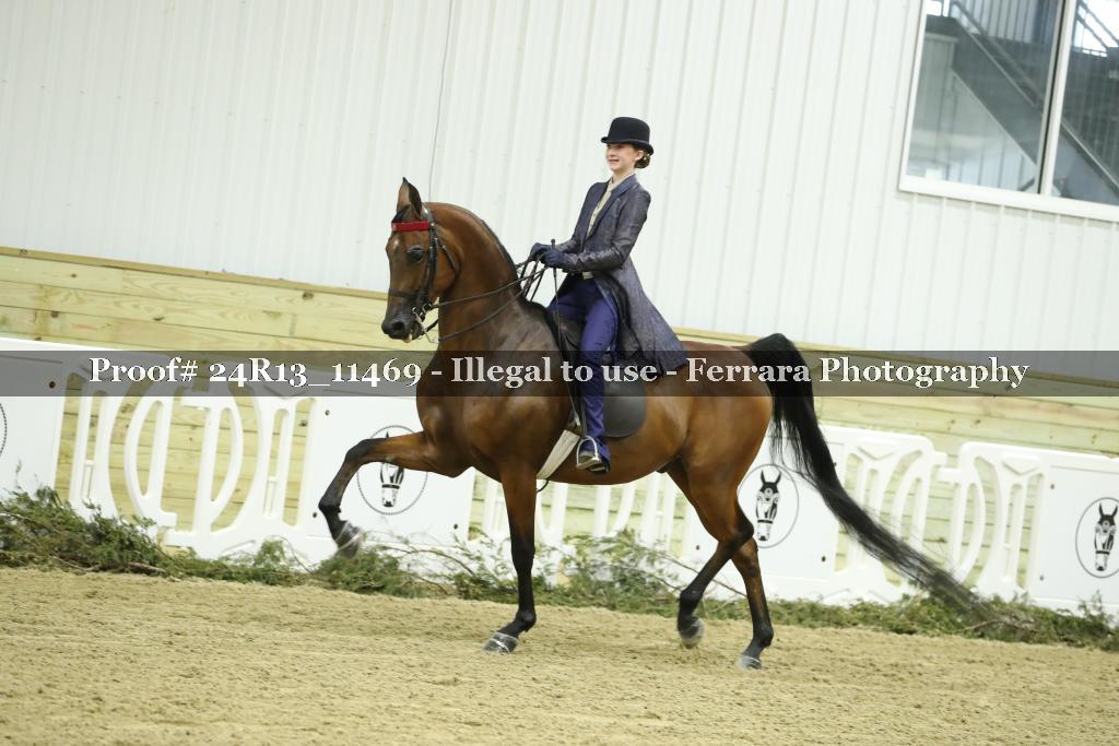 Proof 24R13_11469