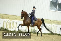 24R13_11469 proof