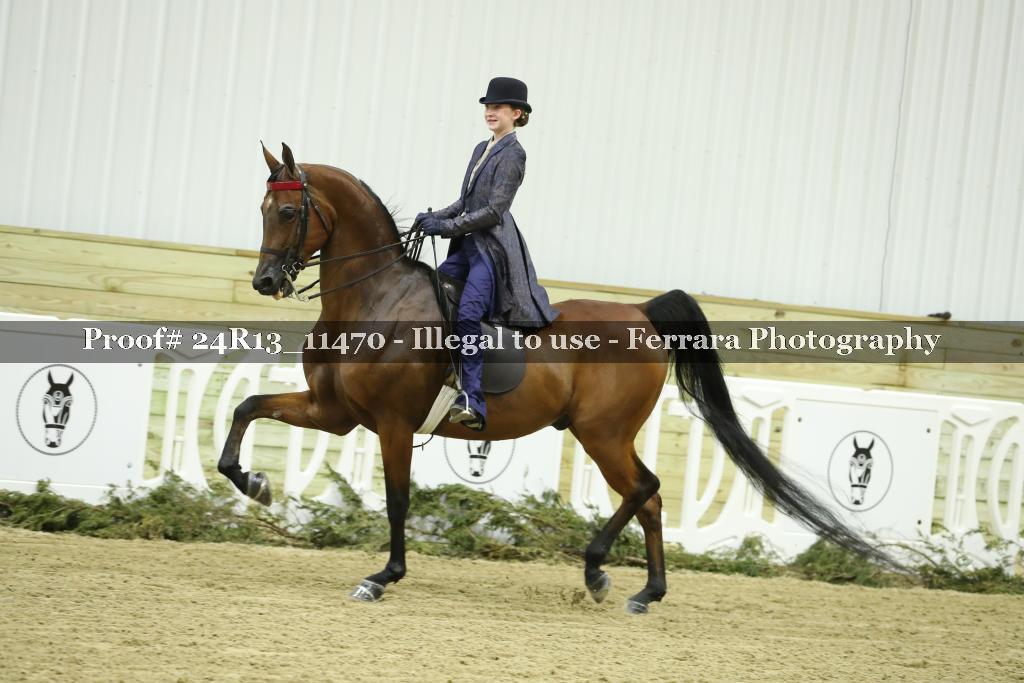 Proof 24R13_11470