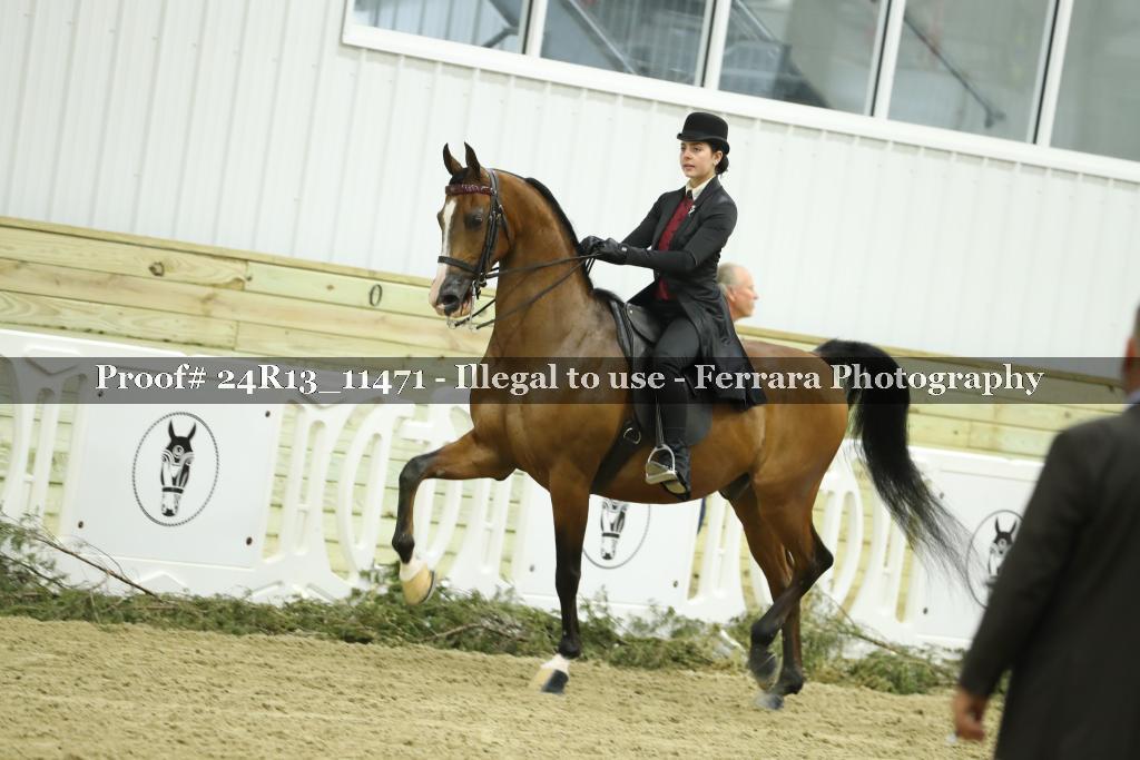Proof 24R13_11471