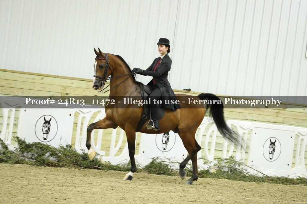Proof 24R13_11472
